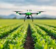 Hardware im Precision Farming – Technologie als Wachstumstreiber (Foto: AdobeStock - 913576282 Pachara)